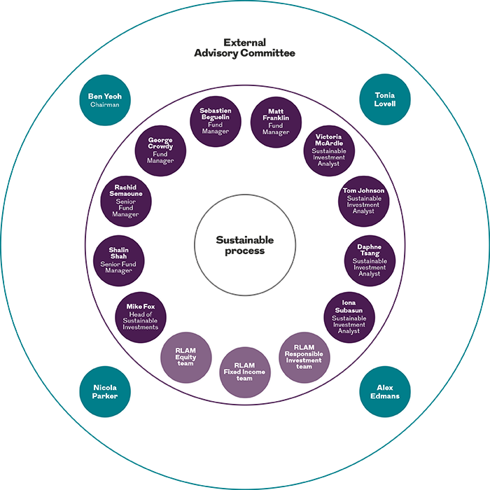 Image is a visual representation of RLAM's sustainable investment team, the External advisory committee and their structure. 